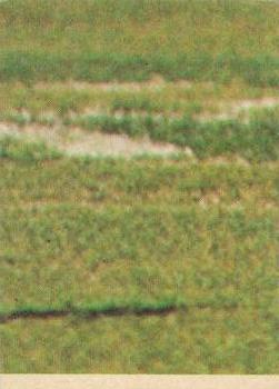 1979 Scanlens VFL #65 Wayne Schimmelbusch Back